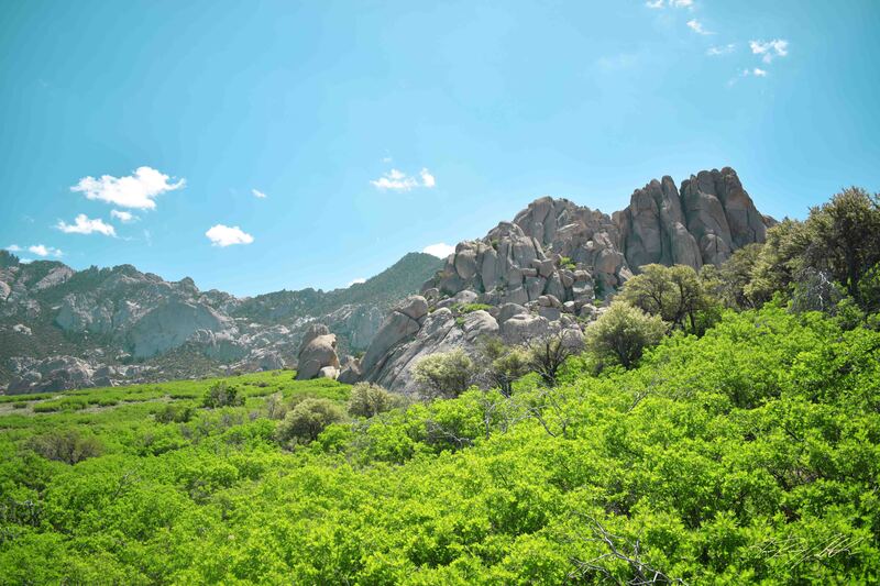 Photograph of bright green forest, white rocks, and a blue sky.