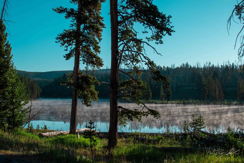 Photograph of fog rising off of a river in Yellowstone National Park.