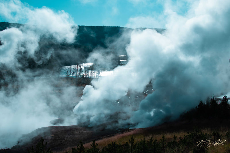 Photograph of steam rising from geysers in Yellowstone National Park.