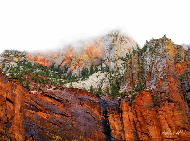 Photograph of fog near Temple of Siniwava in Zion National Park.