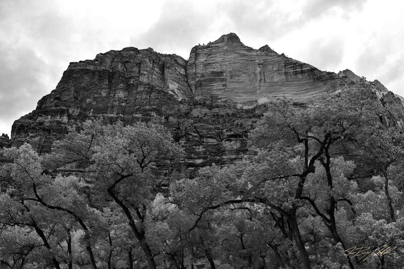 Black and white photograph of Zion National Park.