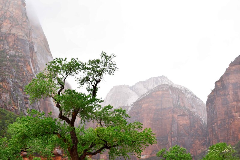 Photograph of rain in Zion National Park.